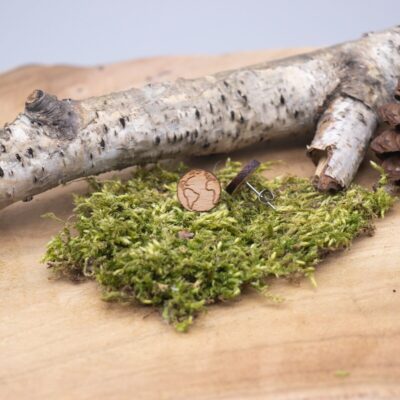 Schöne Holz Ohrstecker mit Weltkugel - rund Buche hell